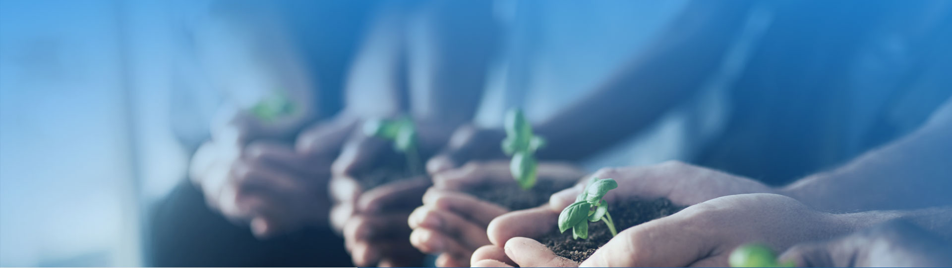 乐宝体育·(中国)官方网站